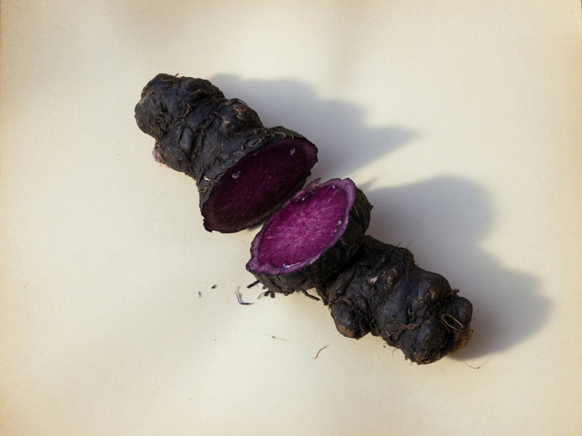 Flowie Black Ginger